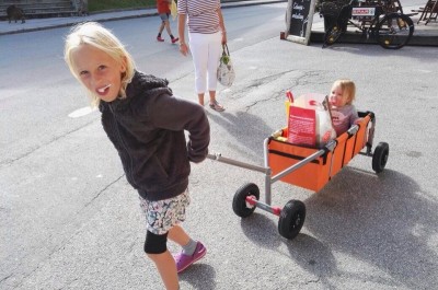 stable wagon for families in summer on the mountain